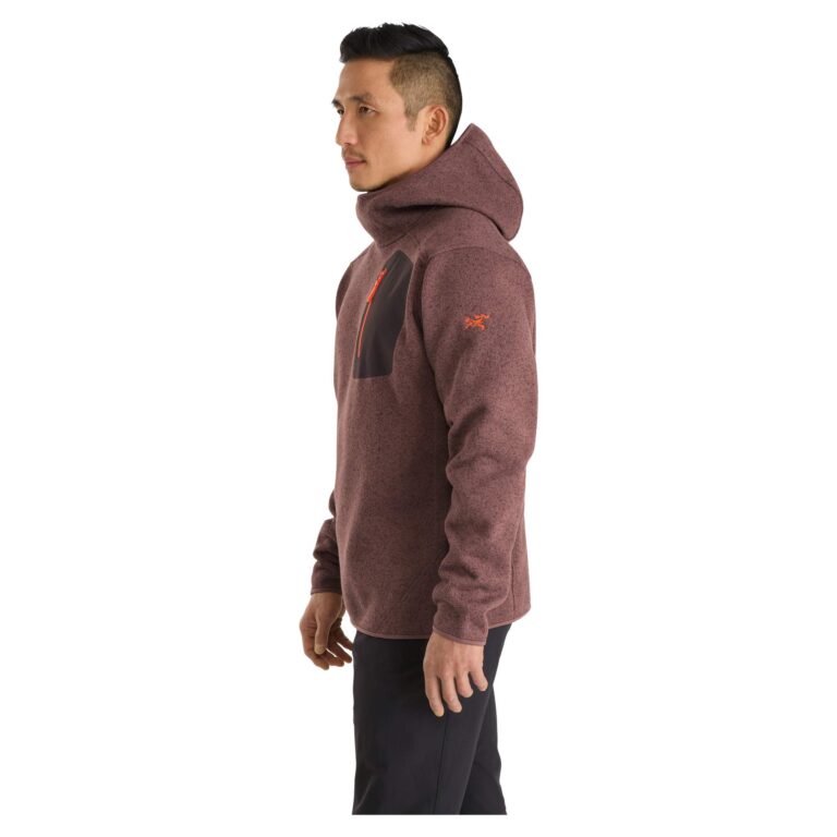 Globetrotter Verkäufe -Globetrotter Verkäufe 5638016948 b covert pullover hoody mens arc teryx 24 768x768 1