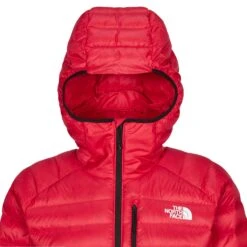 The North Face M SUMMIT BREITHORN HOODIE Herren - Daunenjacke -Globetrotter Verkäufe 5638019181 f m summit breithorn hoodie the north face 24